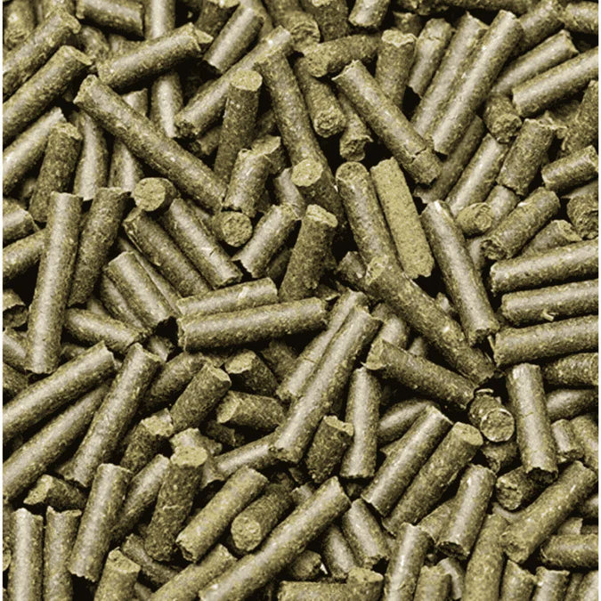 WA Spirulina Shrimp Sticks 15g Aquarium Shrimp Food
