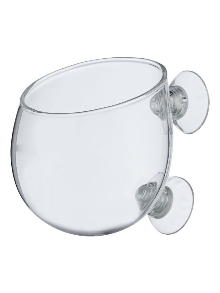 Chihiros Glass Pot for Plant