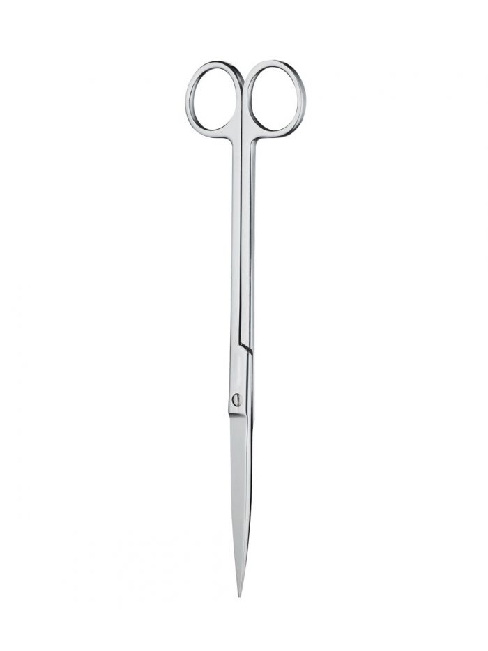 Chihiros Scissors 21CM
