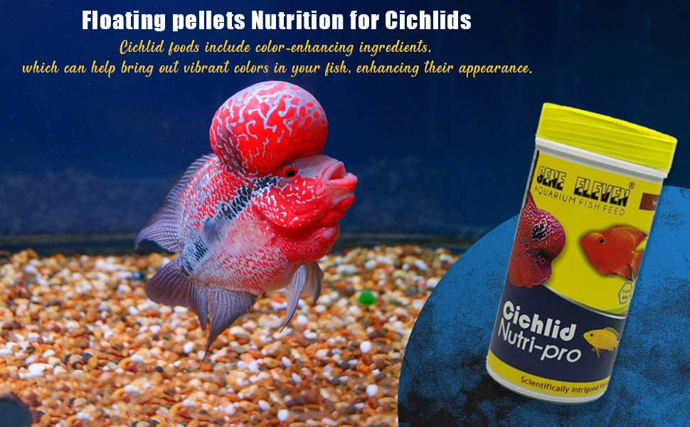 Cichlid Nutri - PRO 100G Floating pellets